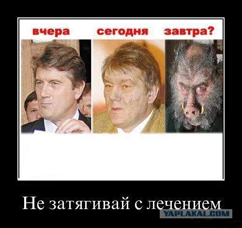 Американские президенты: В начале президентства