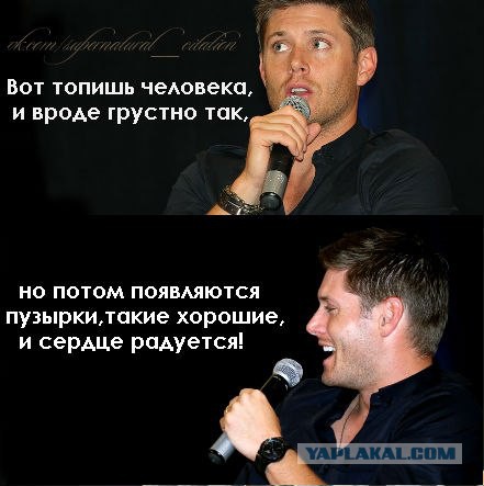 Смешные и не очень картинки из ВК