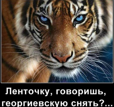 Снять Георгиевскую ленточку