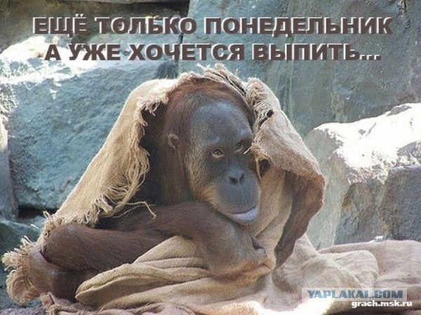Валентинка 2