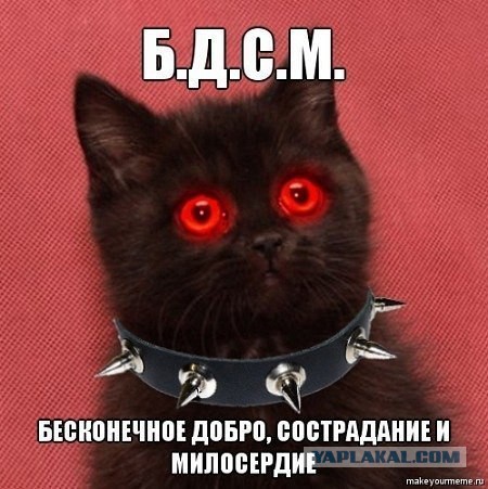 Известные котомемы.