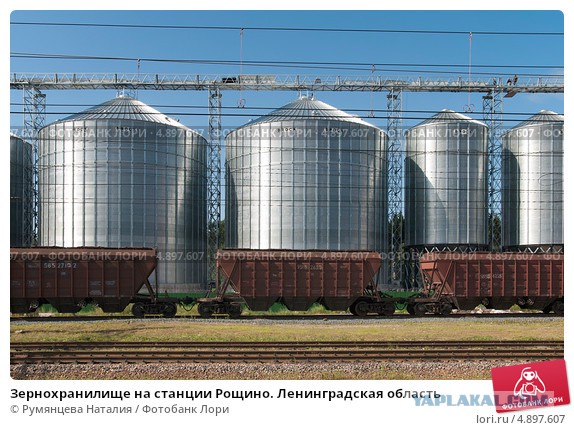 Почему импорта замещение не получилось?