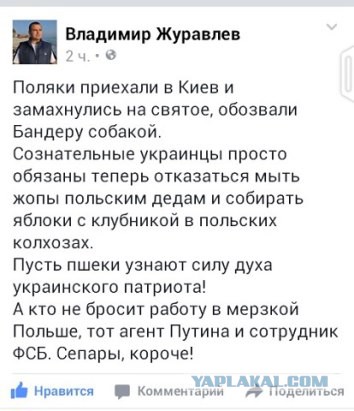Польша комментирует избиение своих фанатов