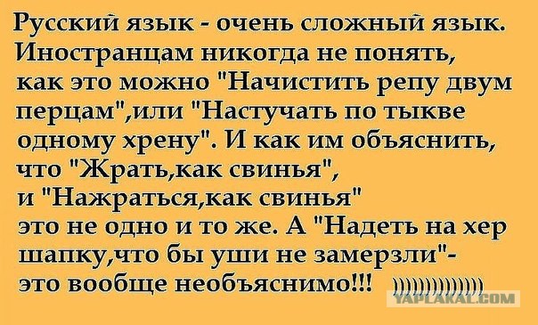 Иностранцы о русском языке