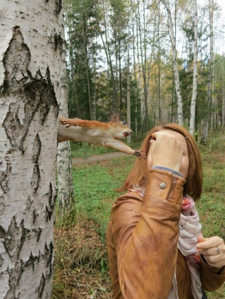 Ужасы и приколы из соцсетей 18+