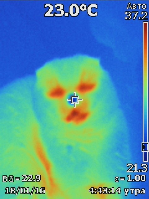 Когда взял попробовать тепловизор