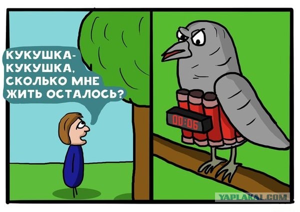 Веселые картинки