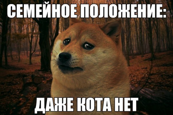 Свежая подборка прикольных картинок