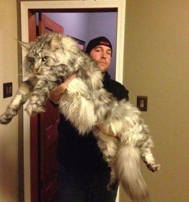 Немного юмора