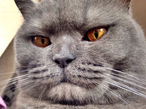 Картинки из сети (07.04.16)