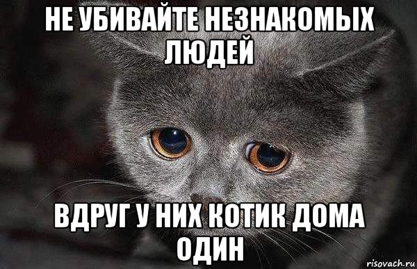 Пьяный барнаулец ограбил квартиру и накормил кота