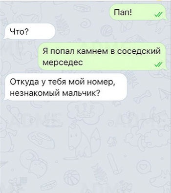 Смешные комментарии из социальных сетей 08.07.2016