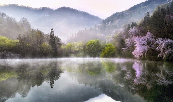 Картинки для отдыха глаз