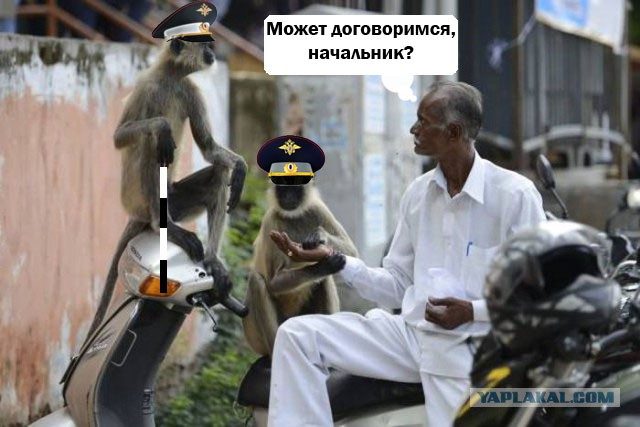Подборка фото