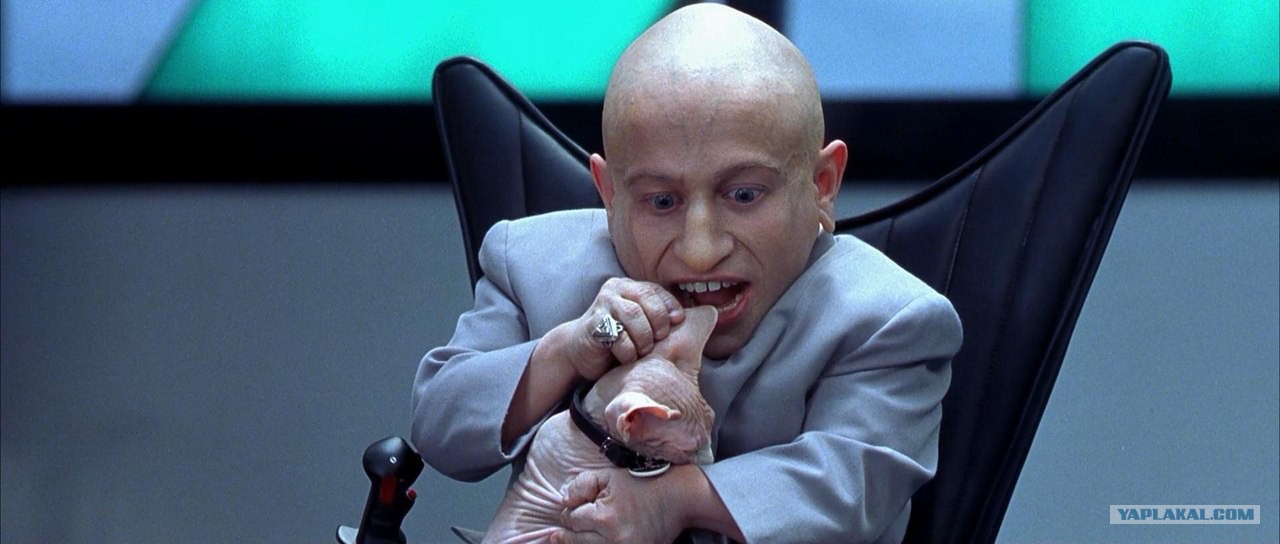 Коварный план старого лысую бороду выгнали из дома