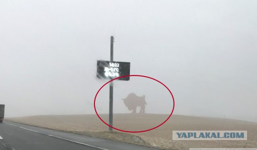 Как я съездил на Западную Украину и в Польшу-strong