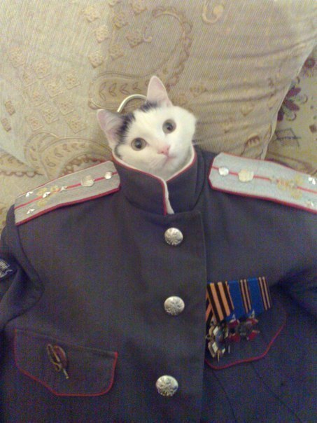 Подборка безудержного веселья