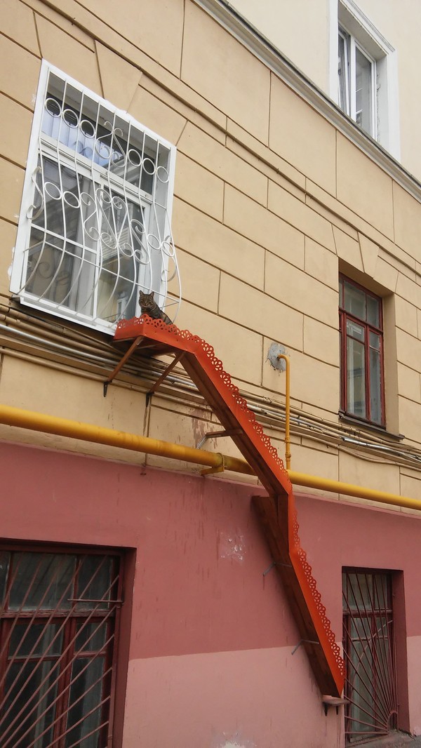 Пятничные ерундушки
