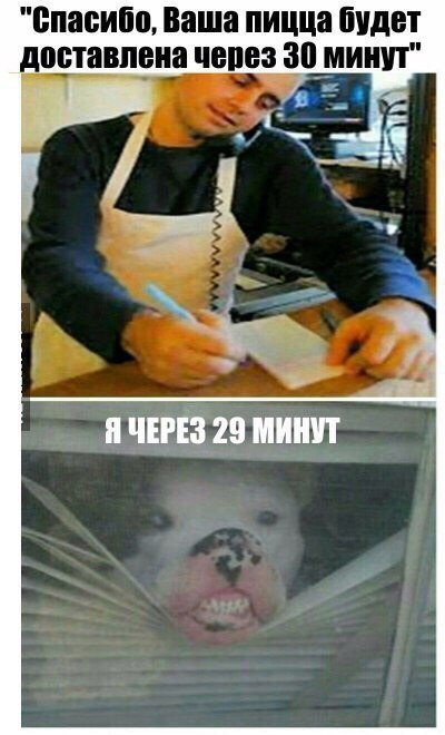 Невыносимая лёгкость
