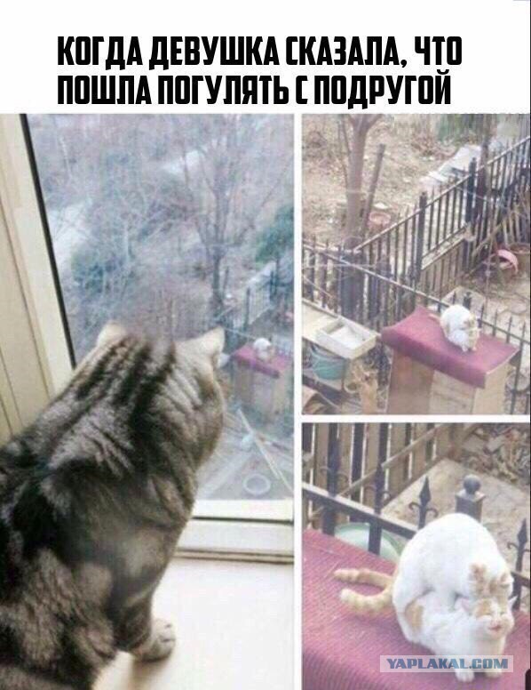 Картинки об отношениях и любви