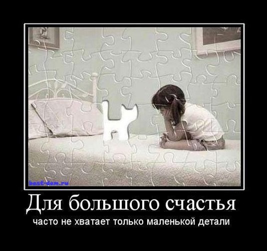 33600 деталей пазла за 9 месяцев
