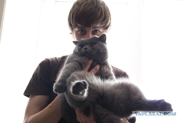 Котовторник  4.09.12