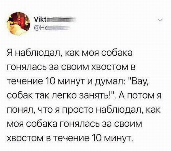 Мундрые мыслишки