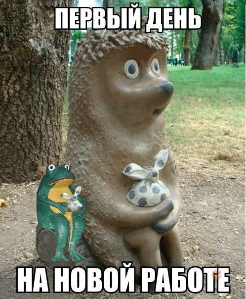 Жаба на Жабу