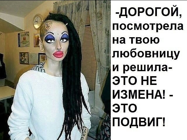 Применим физику в постели или белка и стрелка. Картинки