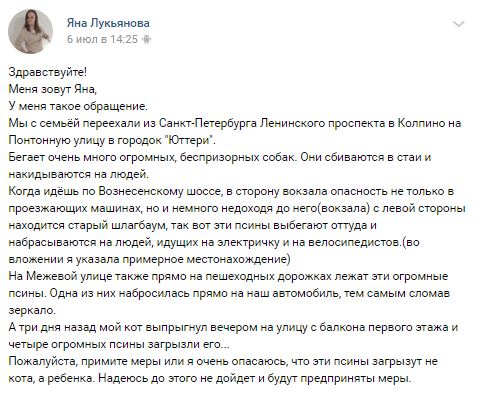 Помогите вернуть кота! Приют "Преданное сердце" украл кота и не отдает!-2