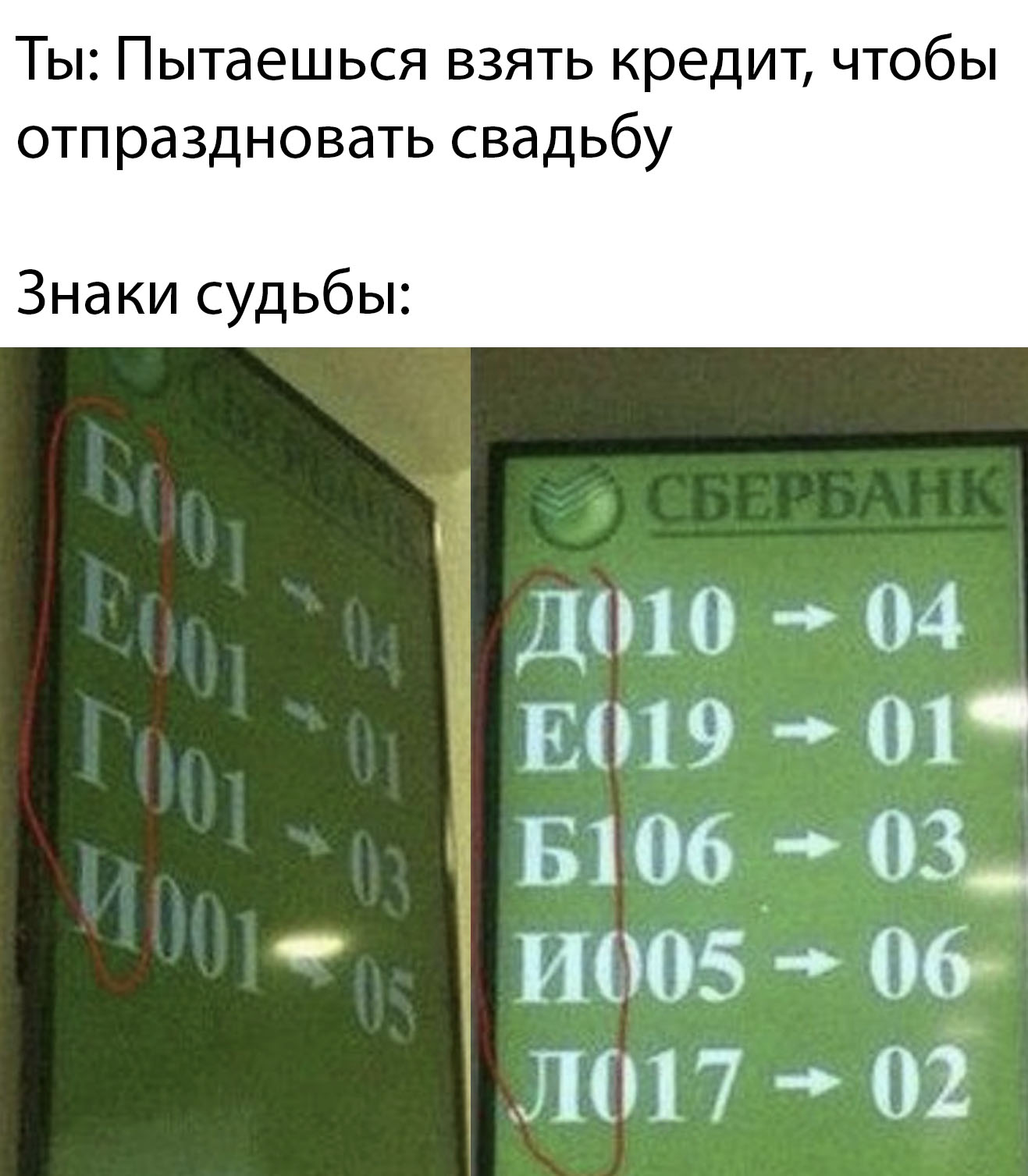 13624979.jpg