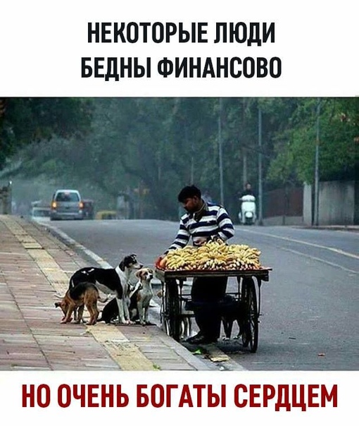 Пара-пара-пам! Фьють. Картинки с надписями.