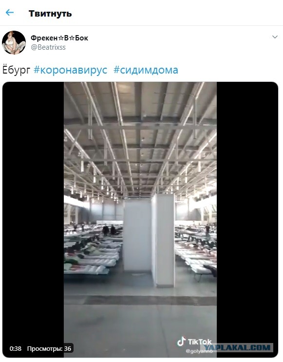 Пандемия. Коронавирус. Россия и мир. Последняя информация. Часть 11
