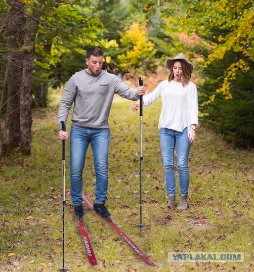 Фотожаба: семья в лесу