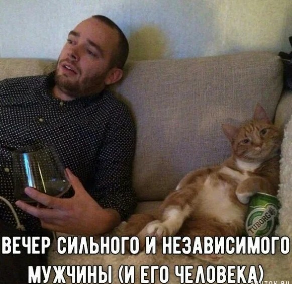 Алкопост 26.02.21