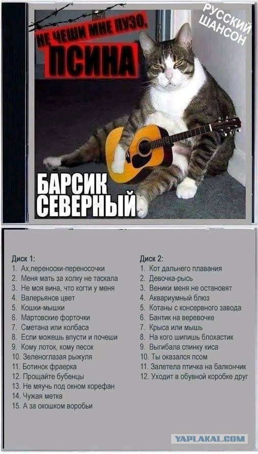 Весёлый полтишок 11.11