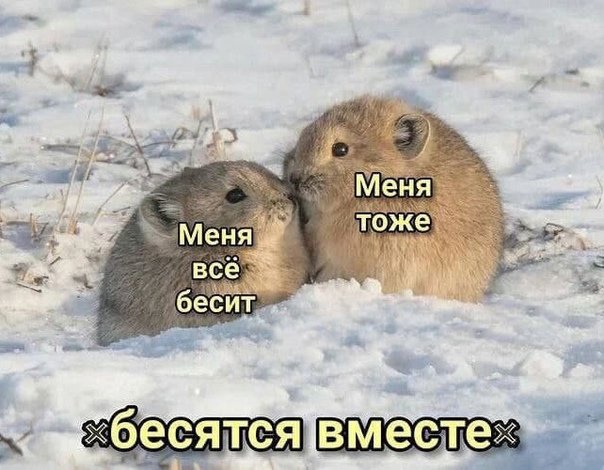 Картинки и мемы, всем прекрасных выходных