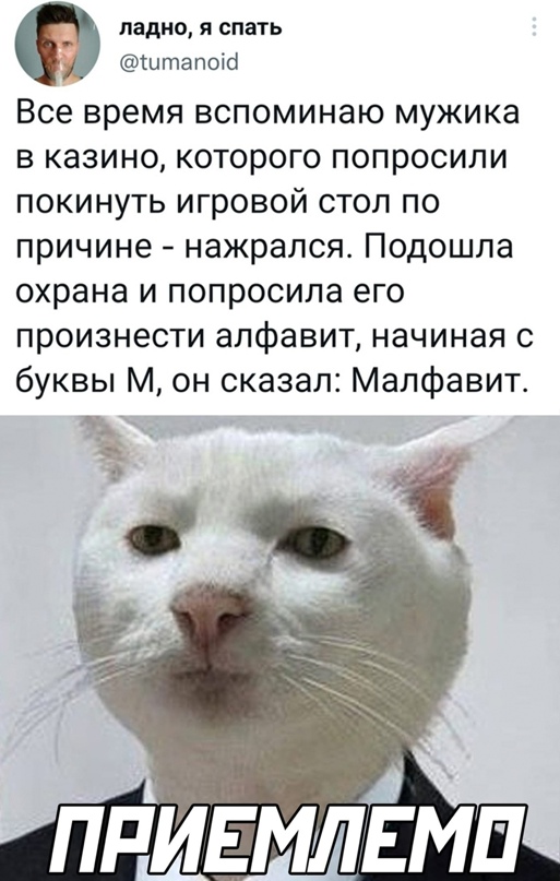 Картинки и мемы для настроения - 15