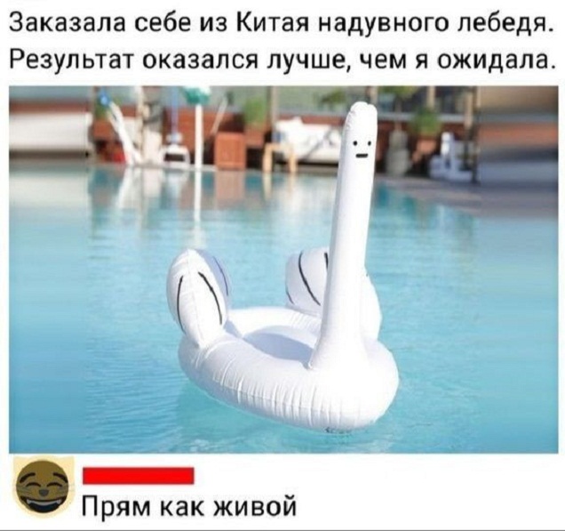 Картинки и мемы для настроения - 11