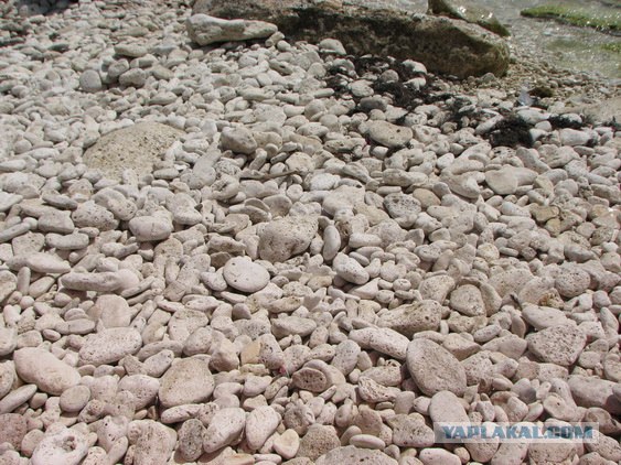 Мыс Тарханкут - самая западная точка Крыма.