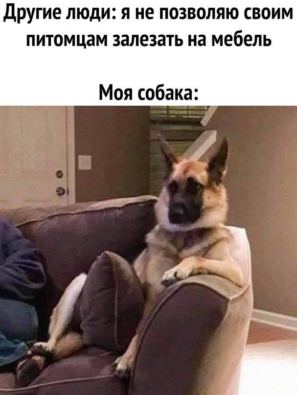 Картинки и мемы. Выходные близко...