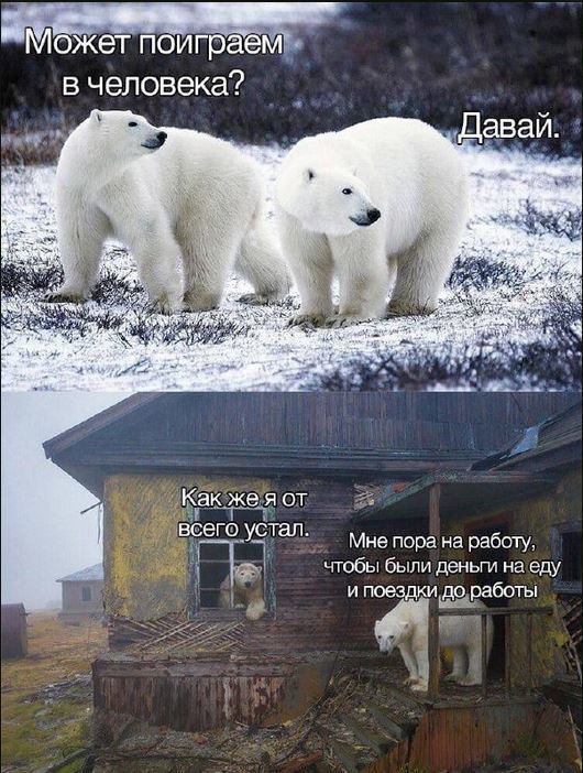 Смотрите, дети - это человек