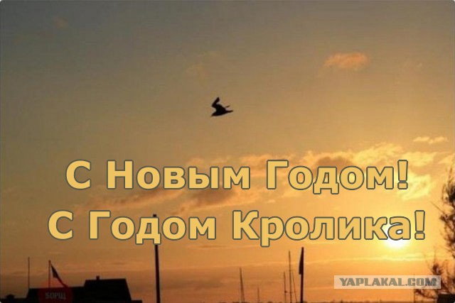 Смешные комментарии из социальных сетей 30.12.22