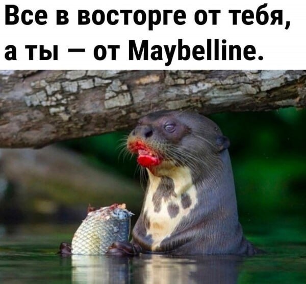 Всего понемногу. От 26.04.23