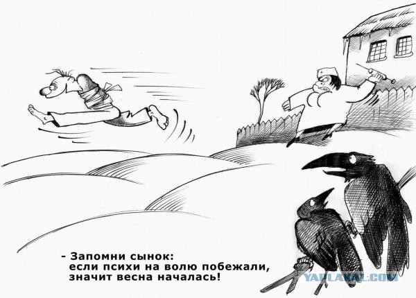 Как разбудить спящую собаку ...