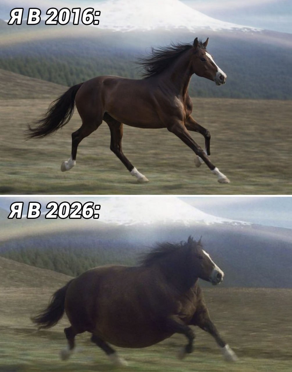 20709979.jpg
