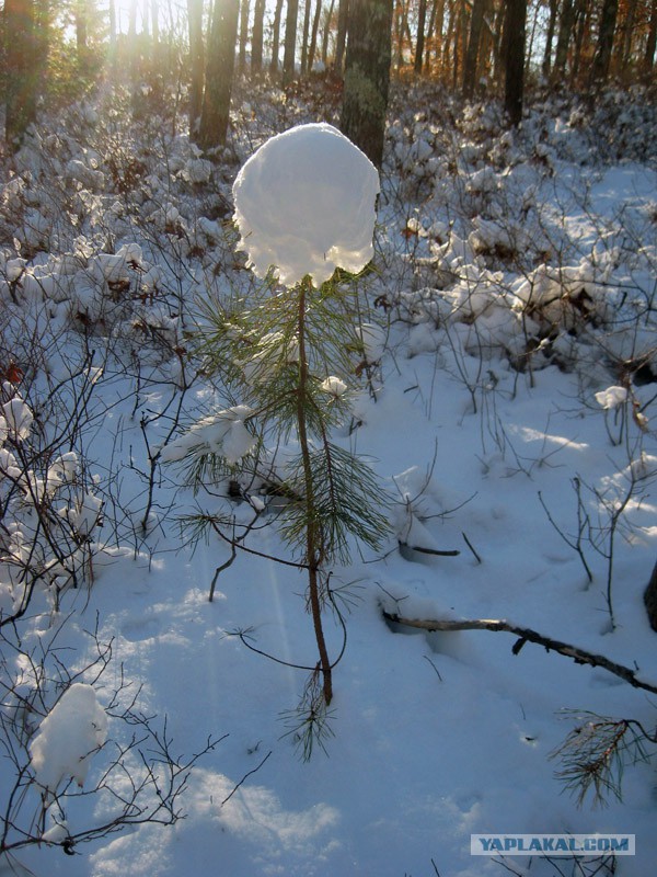 Деревенская Америка