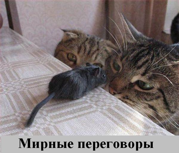 Подборка забавных и курьезных фотографий