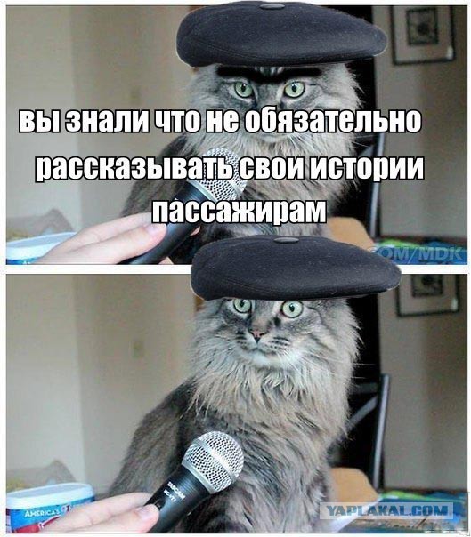 Весёлые картинки. Разбавим будни