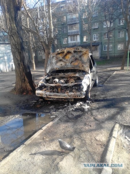 Нет слов, одни эмоции...